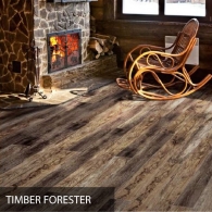  Tarkett  TIMBER FORESTER () 10  ( )