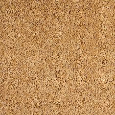  ,  5 