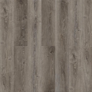 ROYCE Enjoy � 307 ��� ���� 