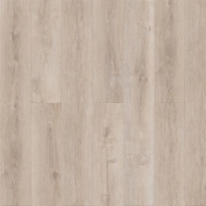 ROYCE Enjoy � 310 ��� ������