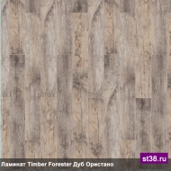  Tarkett  TIMBER FORESTER -   ( )