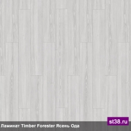  Tarkett  TIMBER FORESTER -   ( )