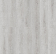 ROYCE Enjoy � 304 ��� ����