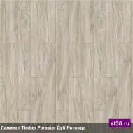  Tarkett  TIMBER FORESTER -   ( )