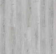 ROYCE Enjoy � 306 ��� ��������