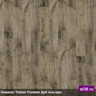  Tarkett  TIMBER FORESTER -   ( )