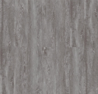 ROYCE Enjoy � 301 ��� ���� 